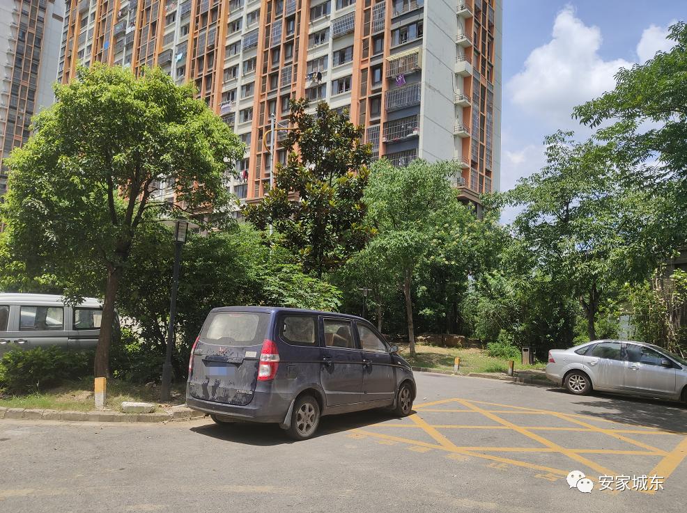 小区堵车物业处理不了,小区内经常堵车怎么投诉物业