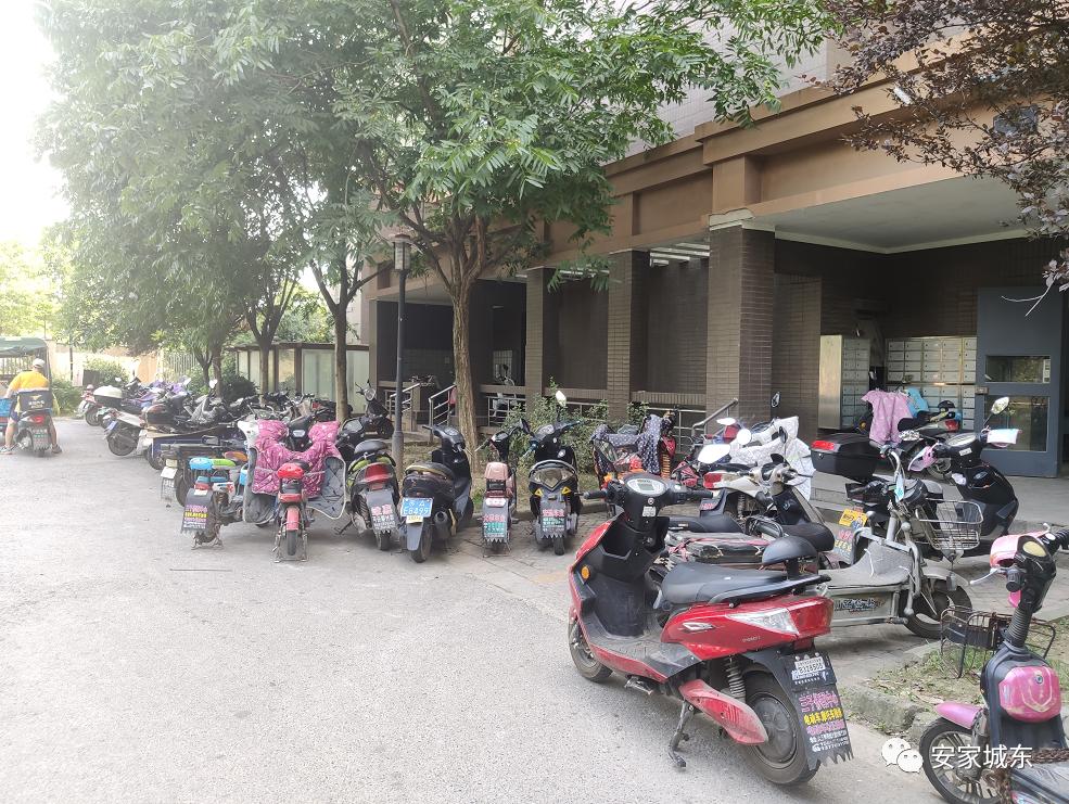 小区堵车物业处理不了,小区内经常堵车怎么投诉物业