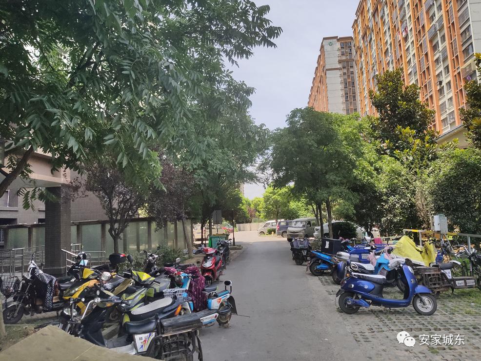 小区堵车物业处理不了,小区内经常堵车怎么投诉物业