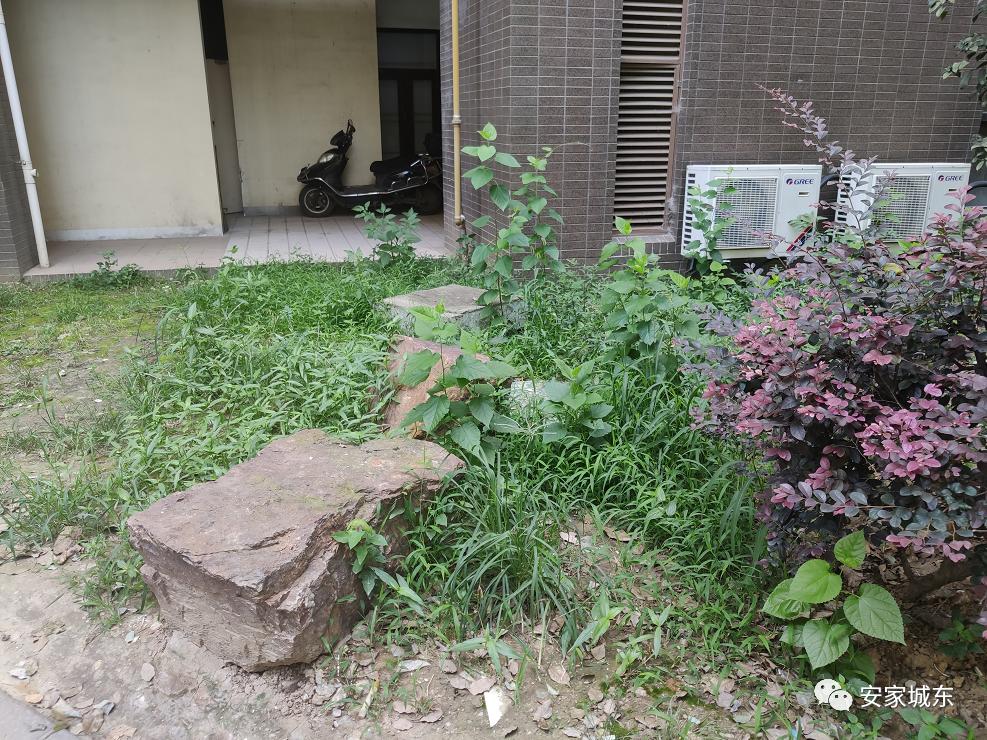 小区堵车物业处理不了,小区内经常堵车怎么投诉物业