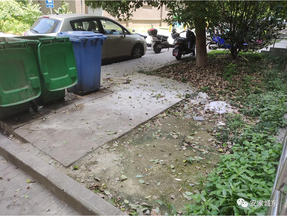 小区堵车物业处理不了,小区内经常堵车怎么投诉物业