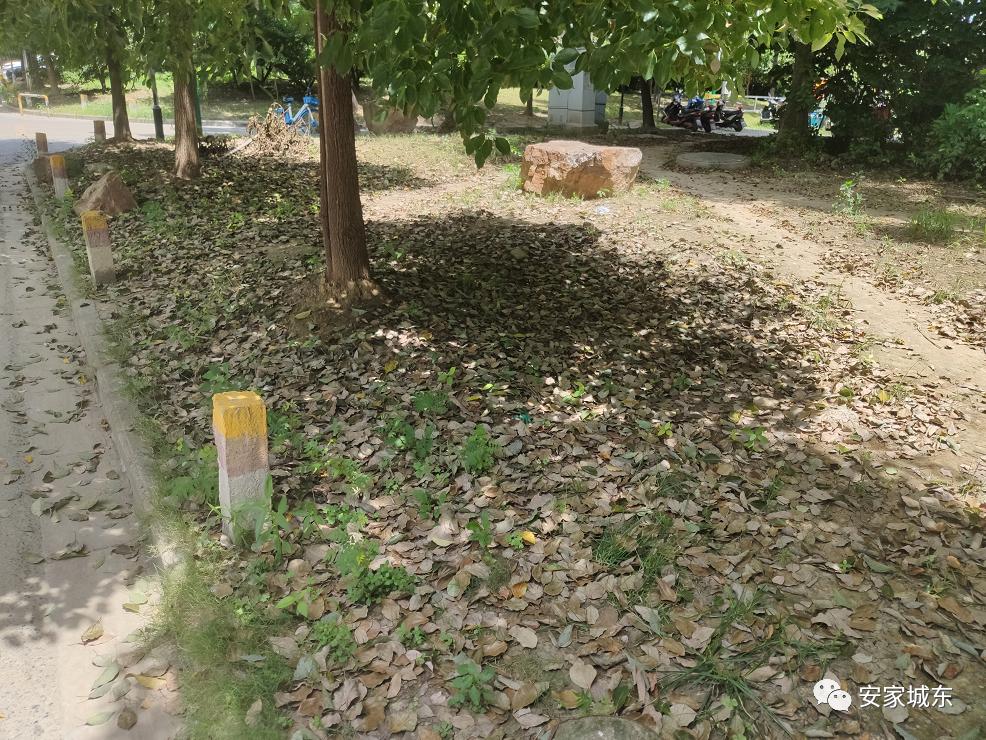 小区堵车物业处理不了,小区内经常堵车怎么投诉物业