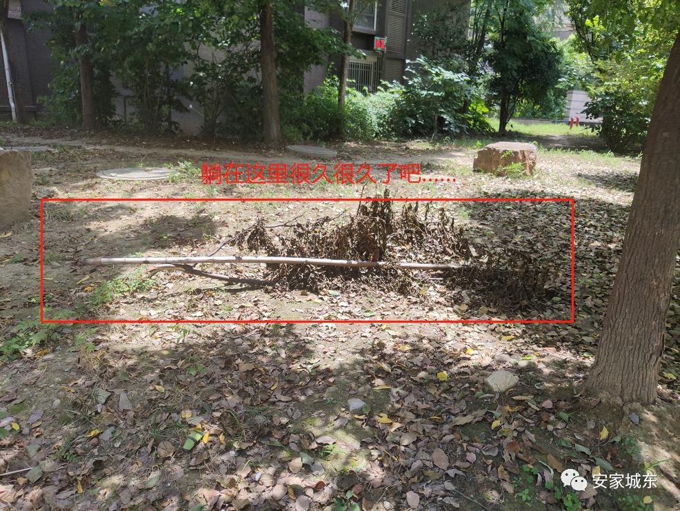 小区堵车物业处理不了,小区内经常堵车怎么投诉物业