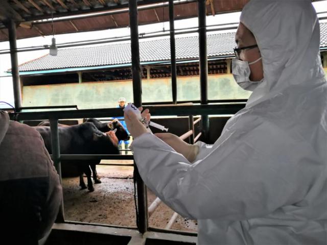 早安!乌兰察布(2020/08/07)