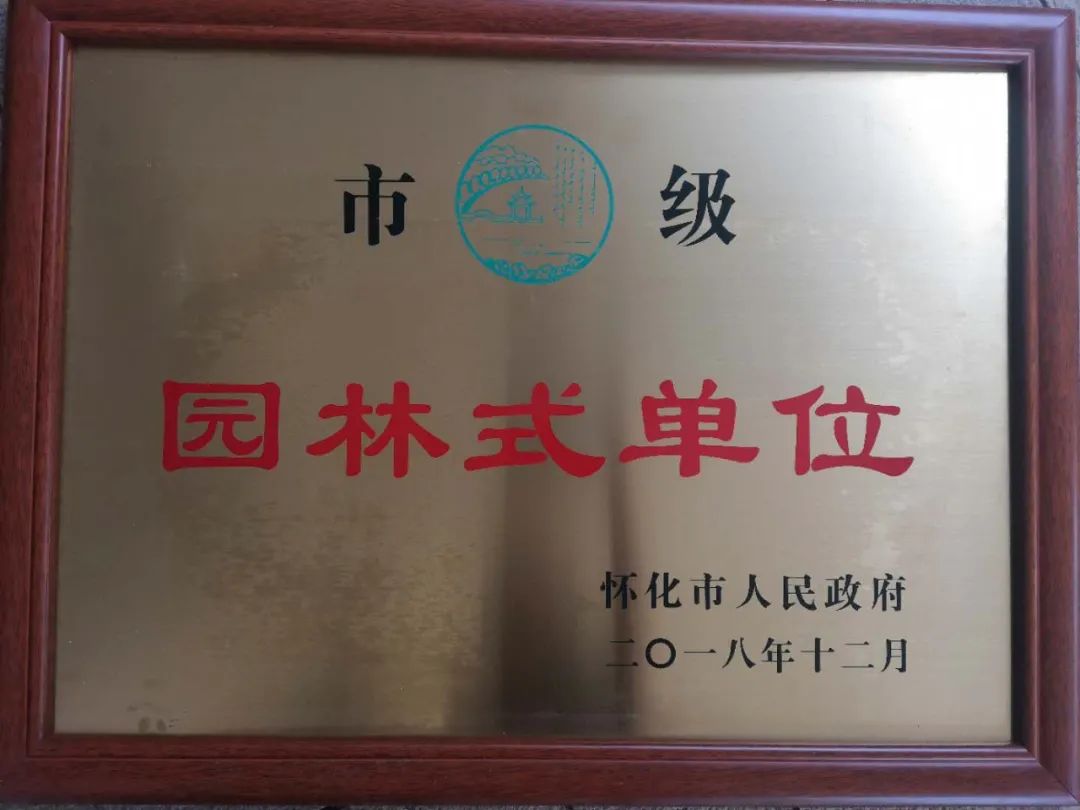 「怀化欧城小学」建校3年，拿奖拿到手软