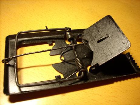 老鼠防治快速灭鼠,老鼠的习性与灭鼠方法