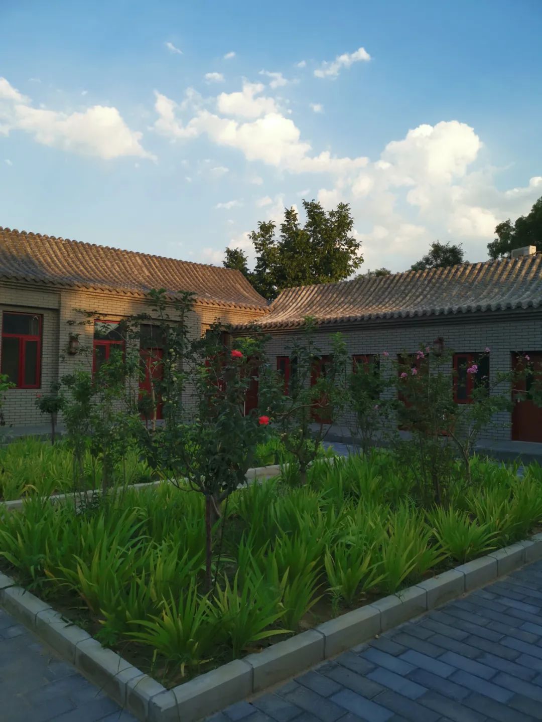 临床心理病房8月起恢复收治患者啦