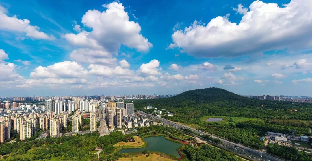 市场监督管理局质量月,质量月部门宣传视频