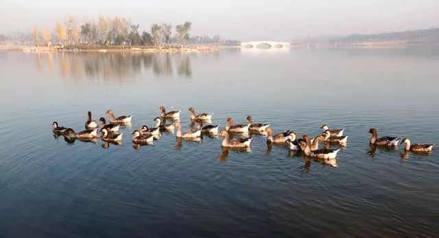 推荐一个假期亲子出游的好地方,北京亦庄周末去哪儿玩