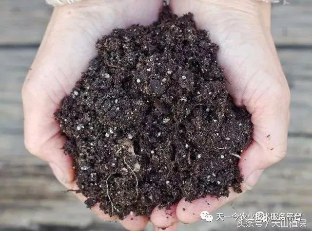 枯草芽孢杆菌能跟杀菌剂一起用么,枯草芽孢杆菌不能混什么杀菌剂