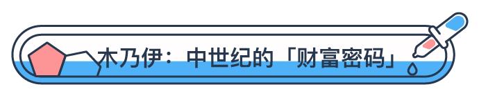 木乃伊是不是被欧洲人磨粉吃了,木乃伊粉末有什么用