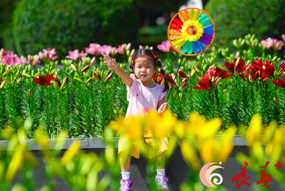 长春最佳百花园赏花季节,长春有什么好看的花海