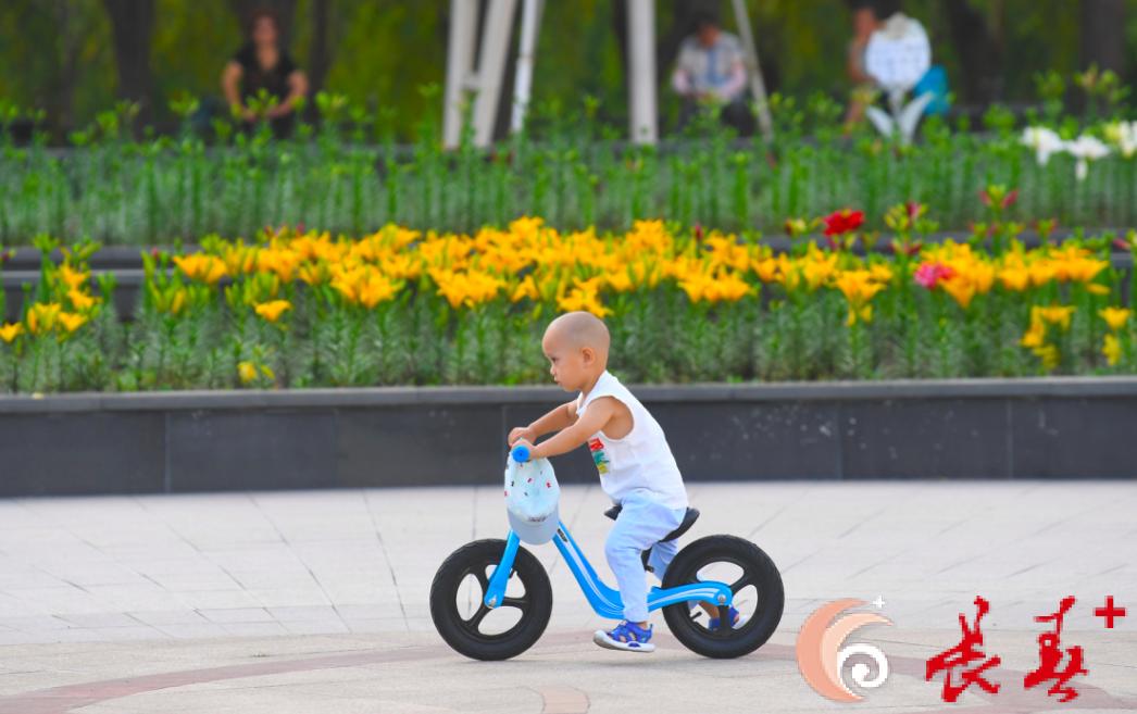 长春最佳百花园赏花季节,长春有什么好看的花海