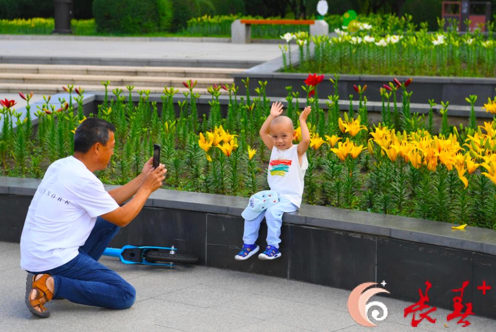 长春最佳百花园赏花季节,长春有什么好看的花海