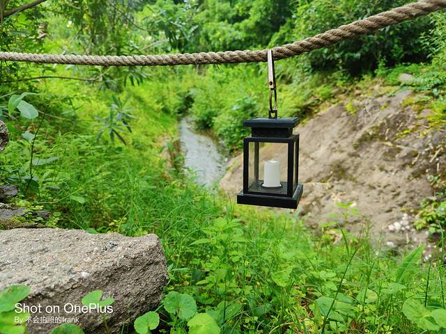 武夷山景区2020,中国最美的武夷山