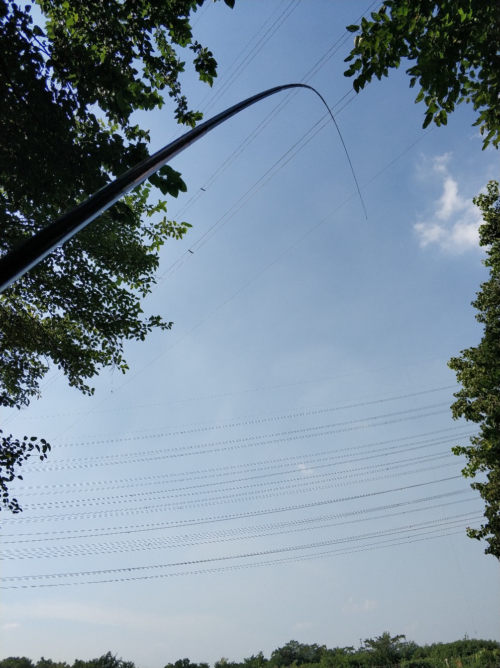 钓鱼人818完整视频,钓鱼人818攻略