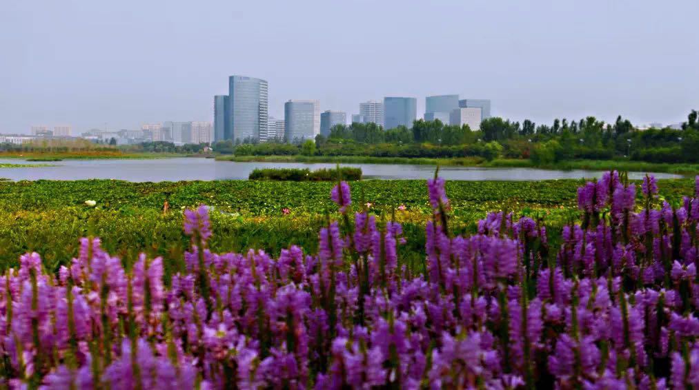 推荐一个假期亲子出游的好地方,北京亦庄周末去哪儿玩