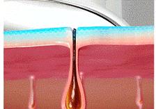 你与人间水蜜桃之间，就差这篇攻略了