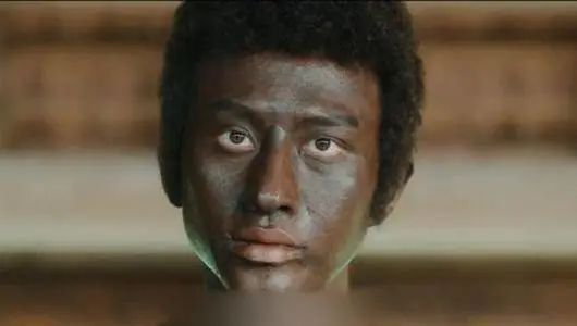 日本有哪些特别的职业,日本有小三吗