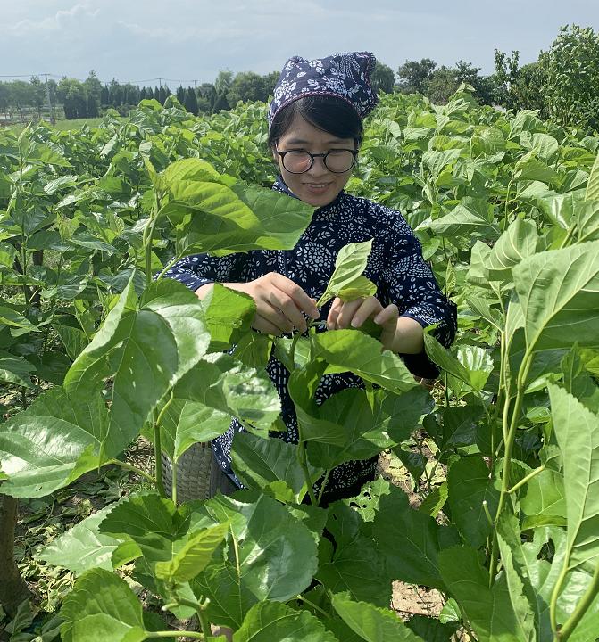 蚕丝被公告,蚕丝被曝光事件