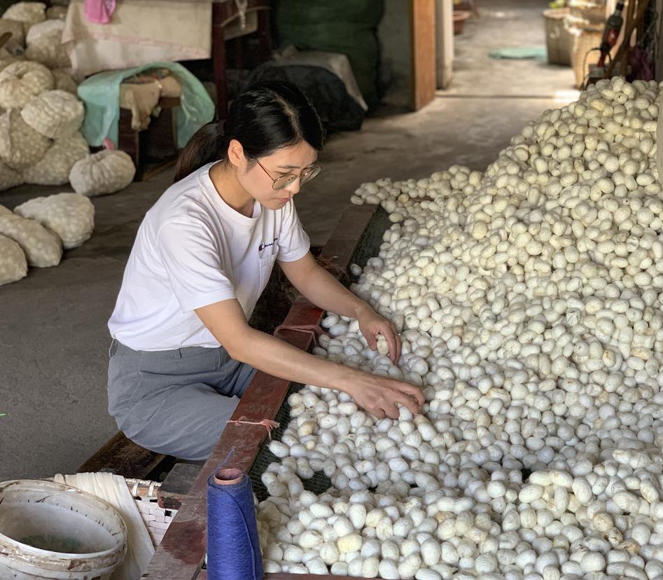 蚕丝被公告,蚕丝被曝光事件