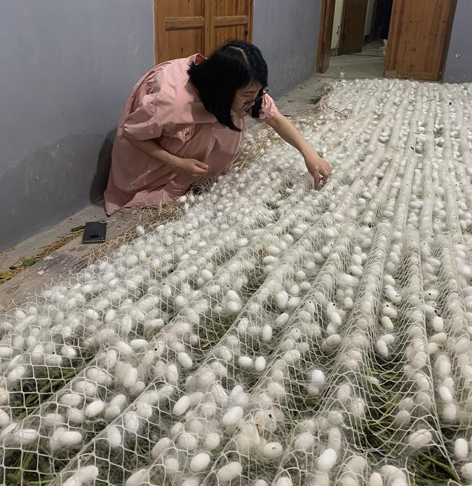 蚕丝被公告,蚕丝被曝光事件