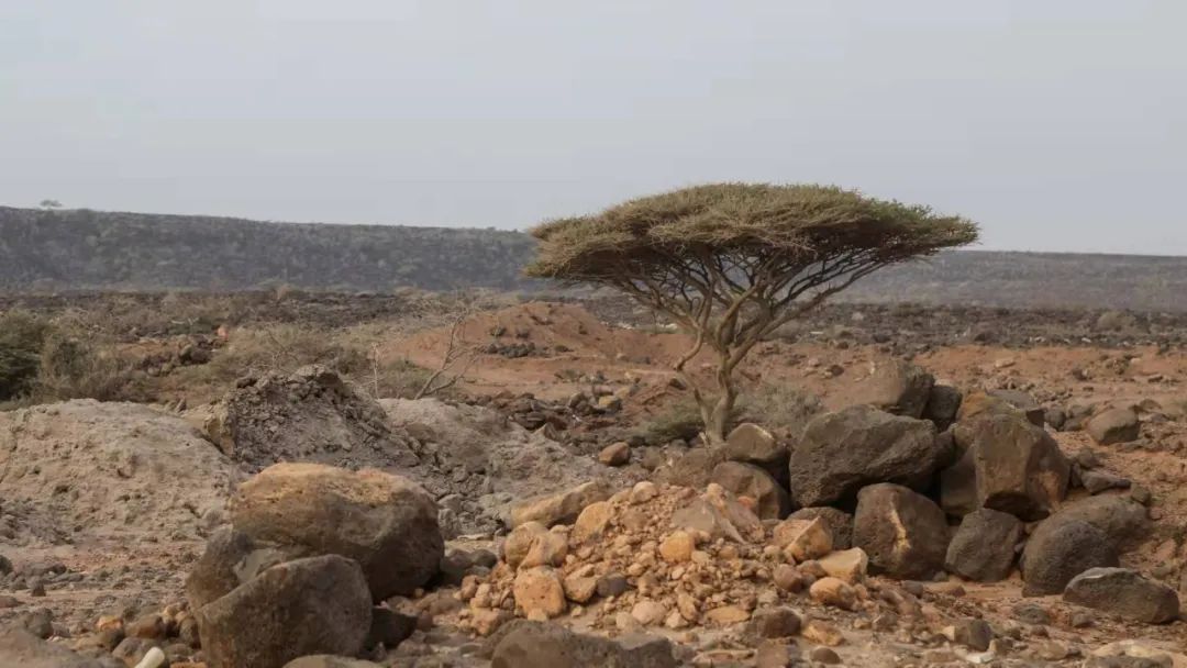 吉布提吸引中国人吗,吉布提生命之水