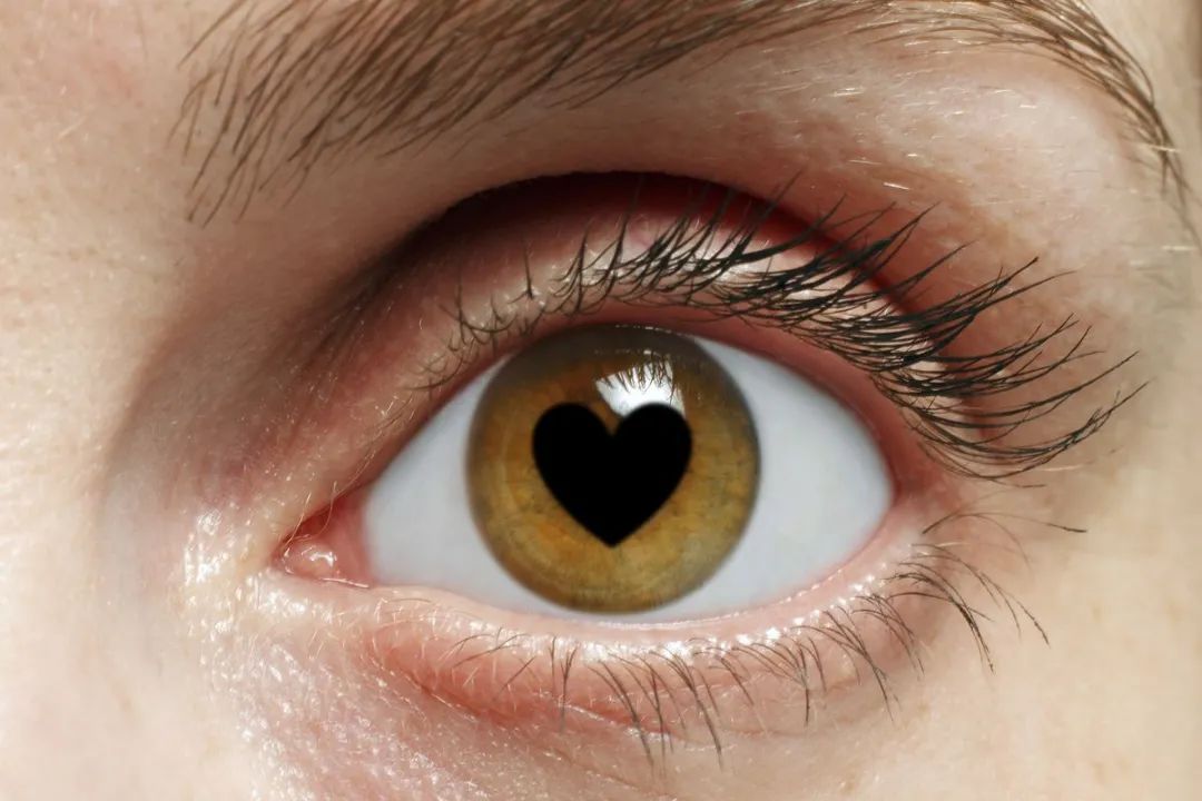 当爱情可以被药物干预