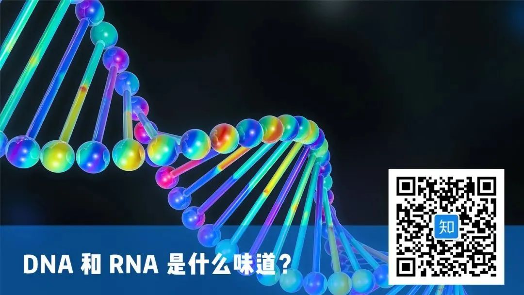 淘宝上十几块钱的衣服是真的吗,淘宝几十块的衣服能穿吗