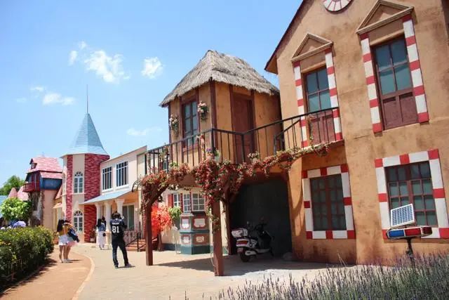 昆明湿地公园网红打卡地,昆明周边网红打卡地一日游