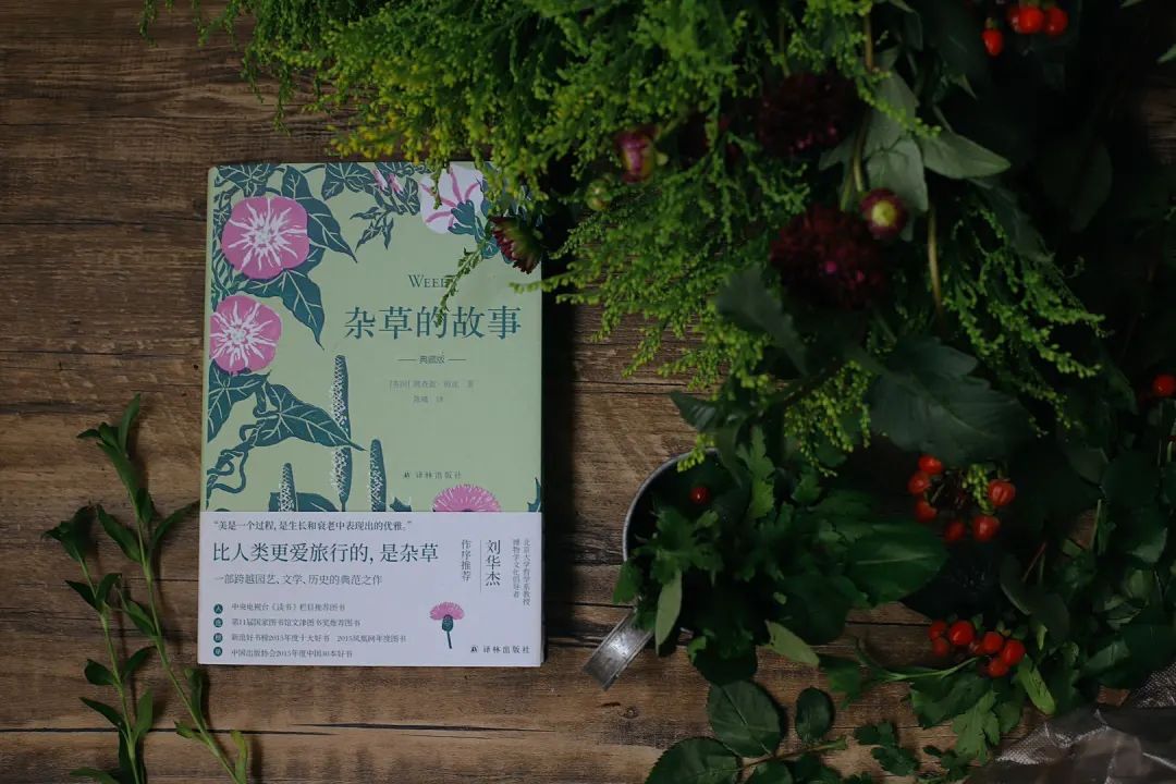 据说把它放在枕下,就能梦见未来的另一半?