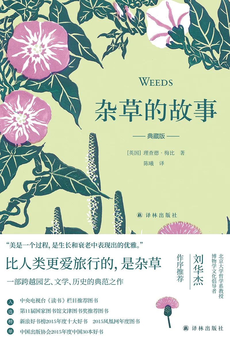 据说把它放在枕下,就能梦见未来的另一半?