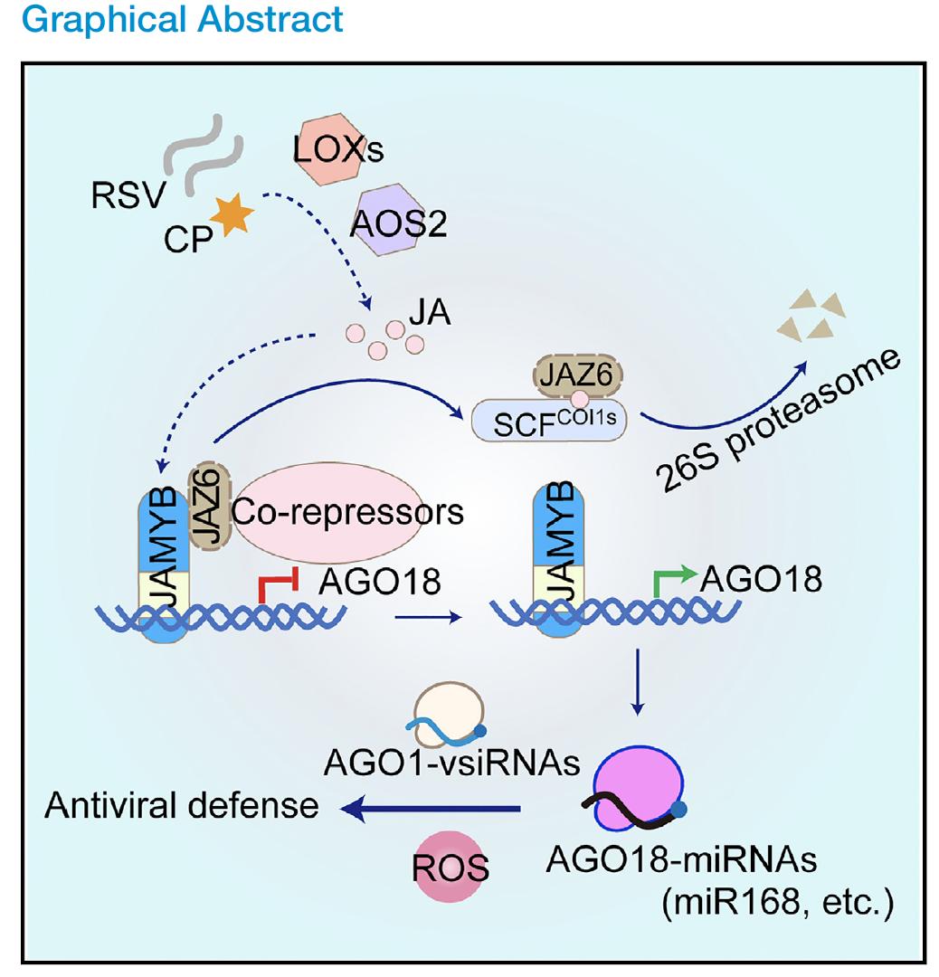 北京大学学位评定委员会内容,北京大学学位评估