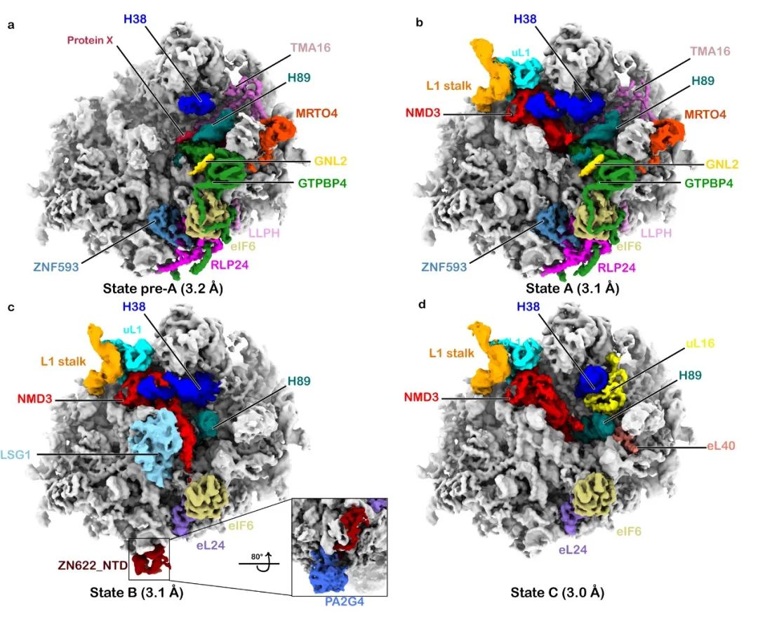 北京大学学位评定委员会内容,北京大学学位评估