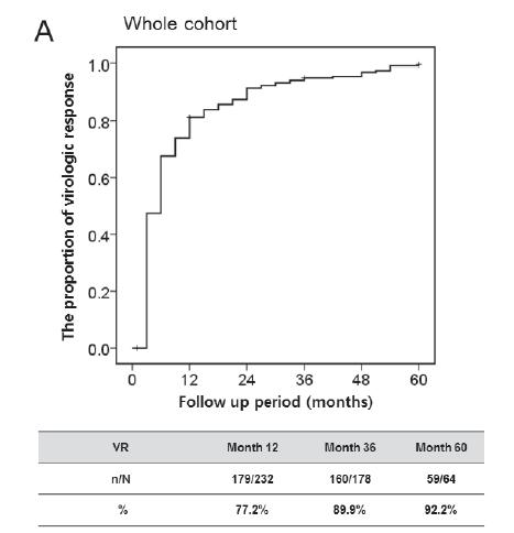 多重耐药患者可以治愈吗,替诺福韦治疗慢性乙型肝炎
