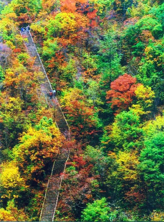 抓住假期尾巴附近景点打卡,抓住周末的小尾巴打卡网红地