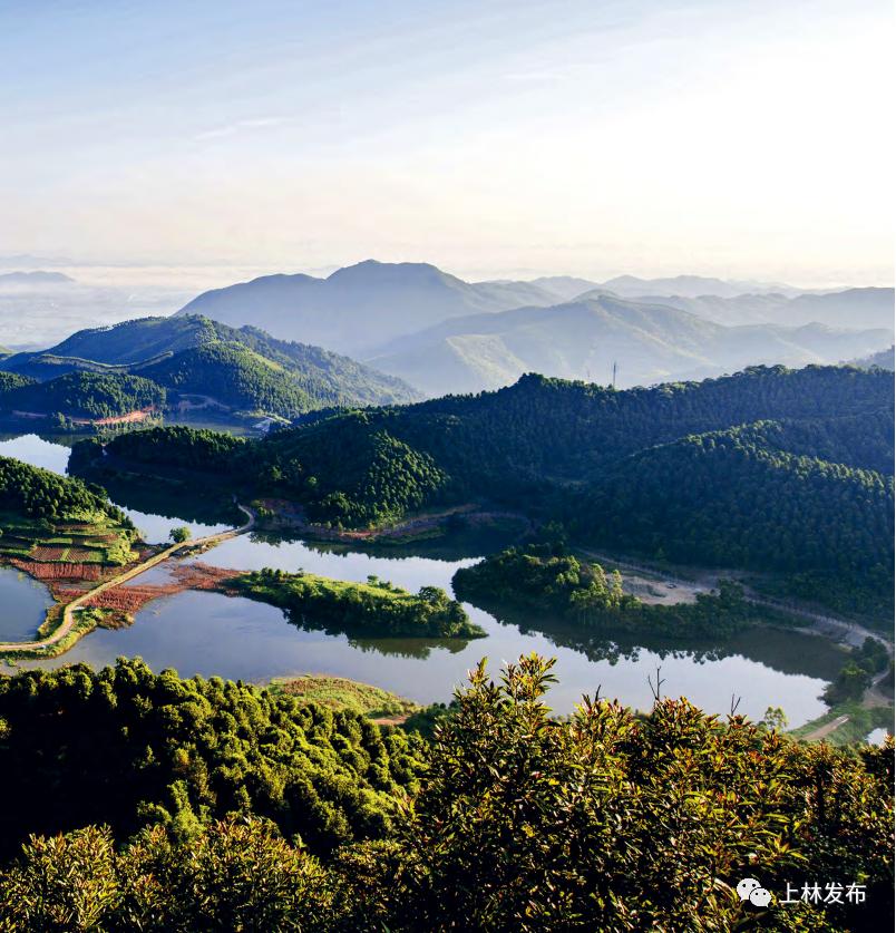 世界长寿乡之首,世界长寿之乡历史