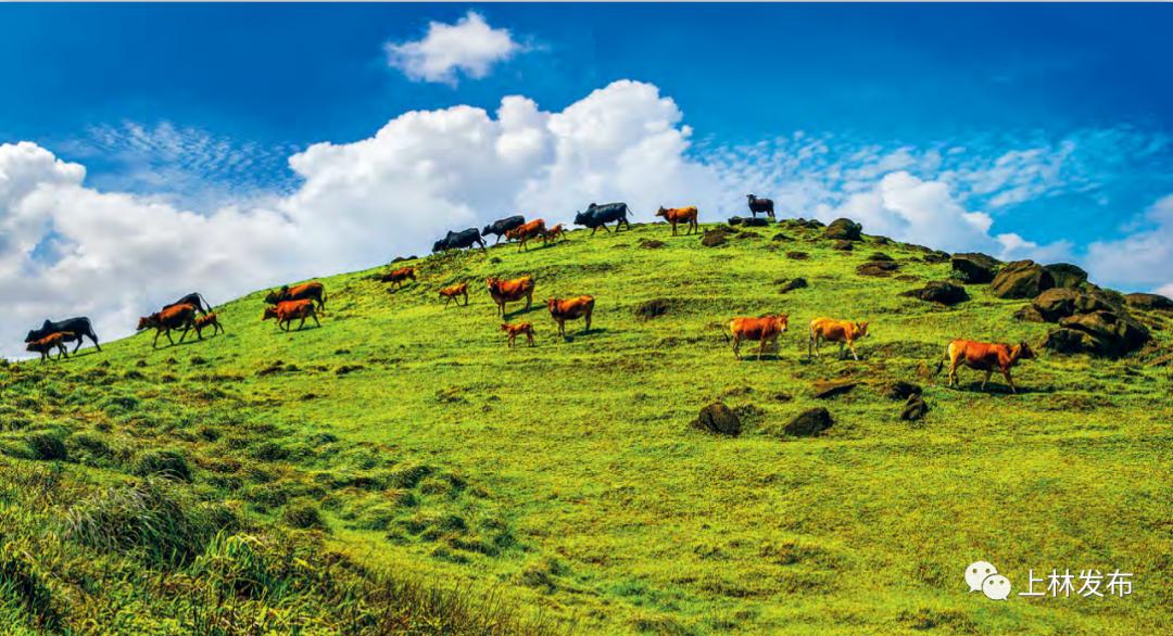 世界长寿乡之首,世界长寿之乡历史