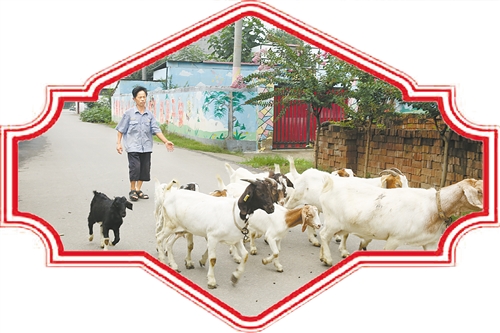 周庄村扶贫,产业扶贫让乡镇幸福