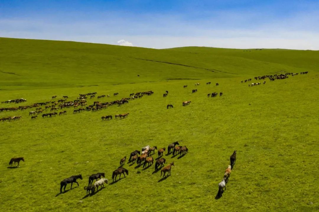 早安乌兰察布,早安乌兰察布文物