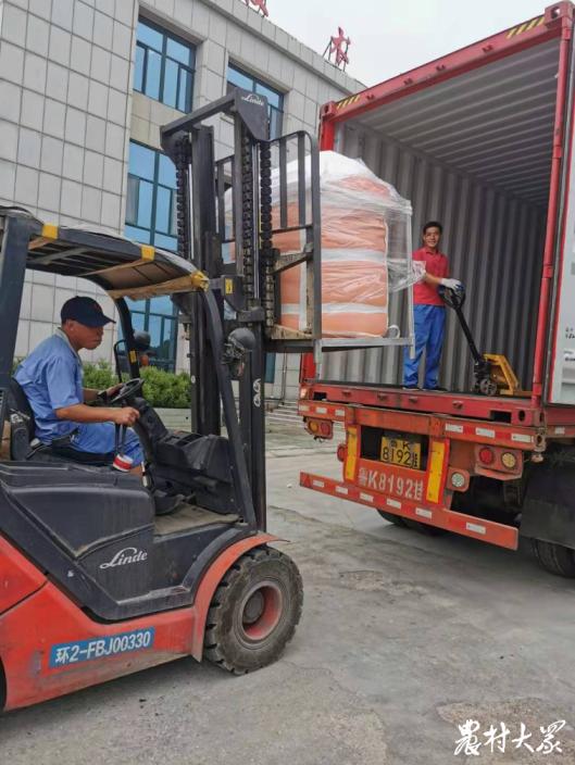 今日报纸头条｜青岛柏兰：始于芝麻成于辣椒，小油坊做成国际“舌尖”大生意