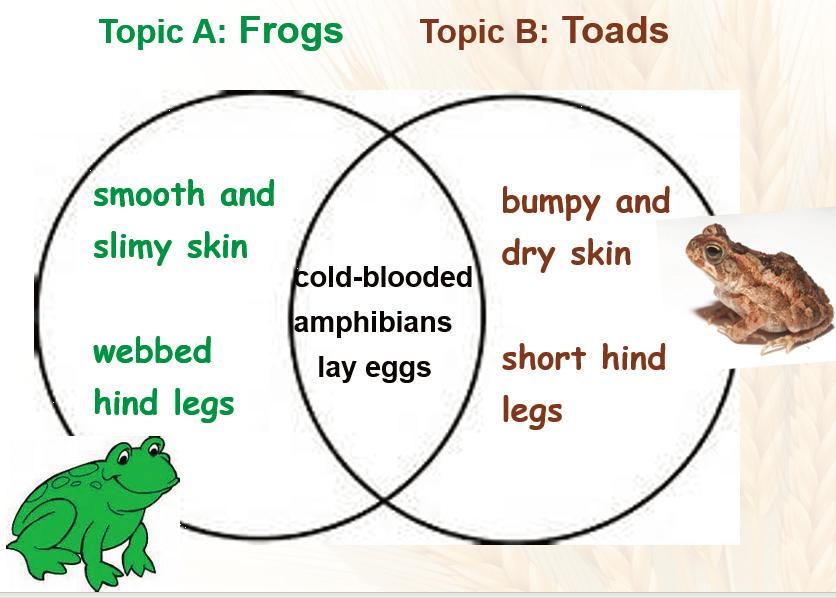 英语阅读教学常用学习策略,英语阅读教学策略与方法教学设计