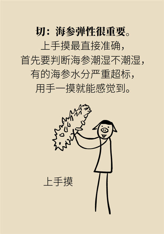 海参内藏哪些不能吃的,海参有几种不可以吃的