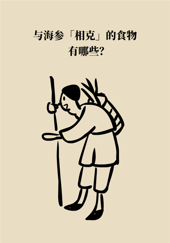 海参内藏哪些不能吃的,海参有几种不可以吃的