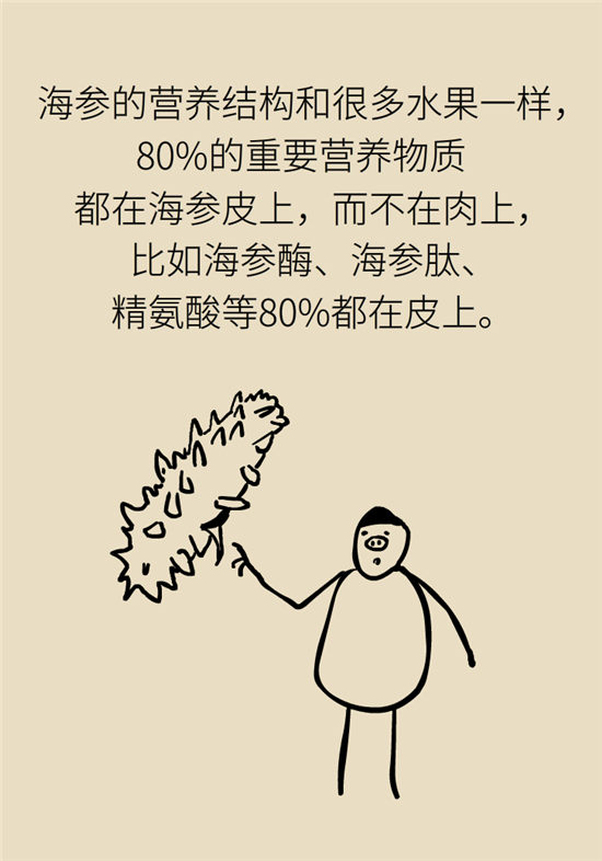 海参内藏哪些不能吃的,海参有几种不可以吃的