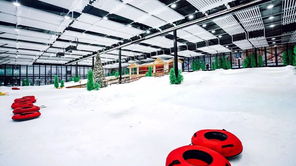 这个夏天一定要来一杯蜜雪冰城,这个夏天一定要来一趟哈尔滨