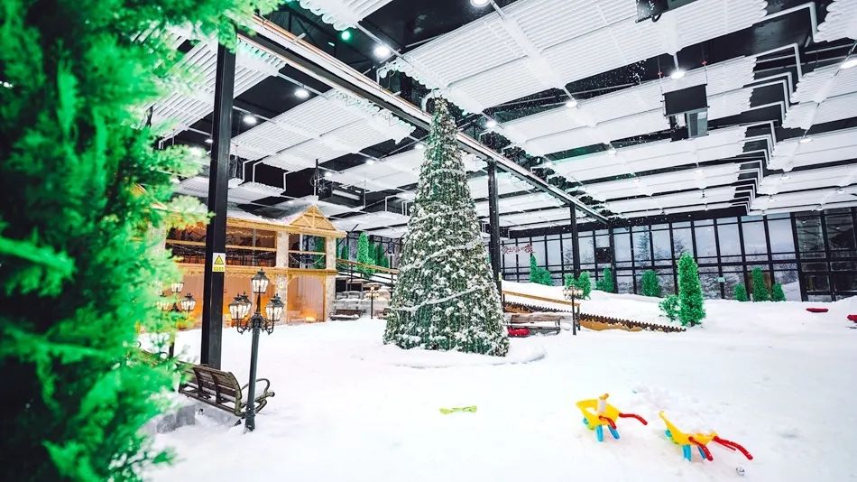 这个夏天一定要来一杯蜜雪冰城,这个夏天一定要来一趟哈尔滨