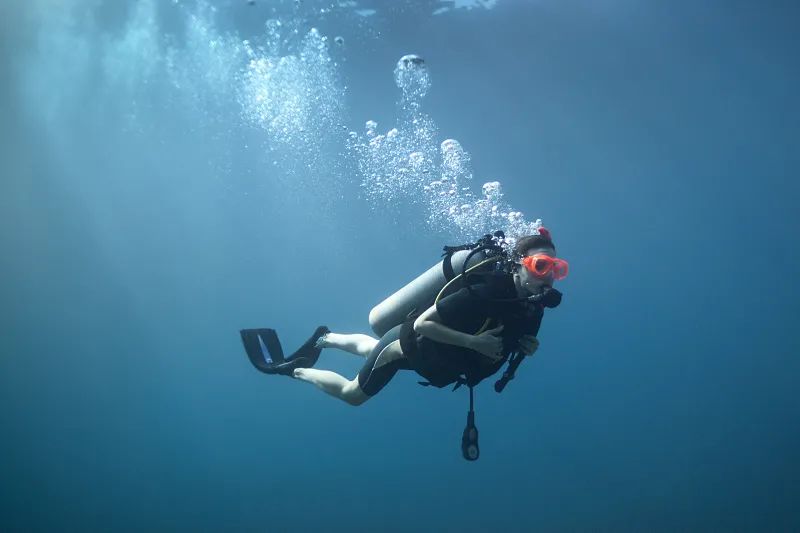 这个夏天一定要来一杯蜜雪冰城,这个夏天一定要来一趟哈尔滨