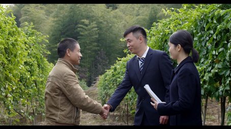 稳企业保民生就业,稳就业保民生推动经济发展再上新