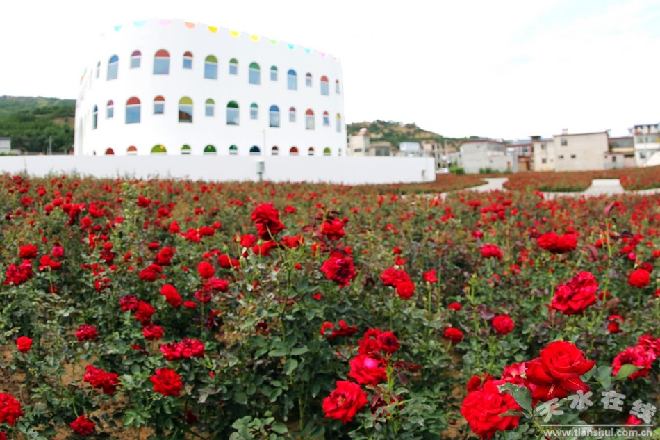 潘石屹养正学堂,潘石屹给甘肃捐过多少学校